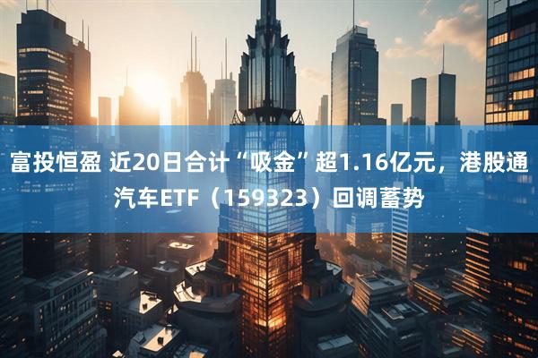 富投恒盈 近20日合计“吸金”超1.16亿元，港股通汽车ETF（159323）回调蓄势