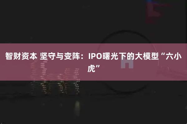 智财资本 坚守与变阵：IPO曙光下的大模型“六小虎”